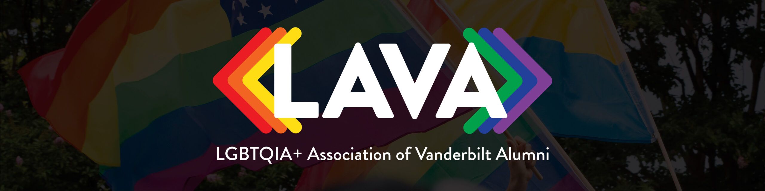 LGBTQIA+ Association of Vanderbilt Alumni (LAVA)